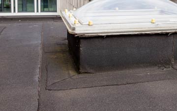 disadvantages of Newton Burgoland flat roofs
