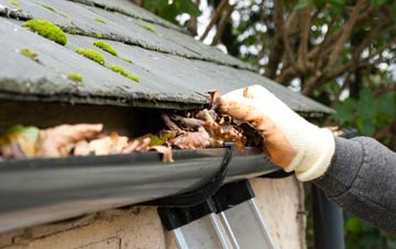 gutter cleaning Newton Burgoland, Leicestershire